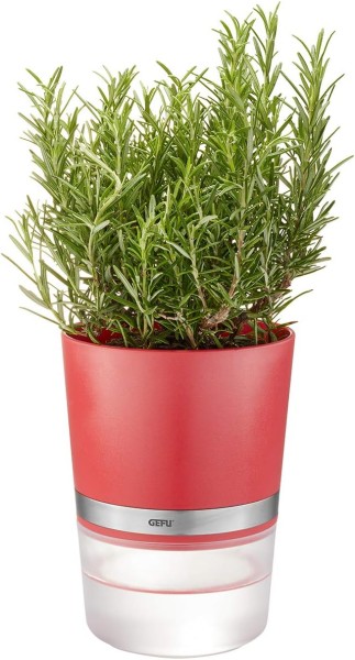 Kräutertof BOTANICO, himbeerrot