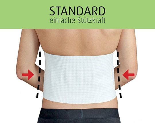 Stützgürtel - standard